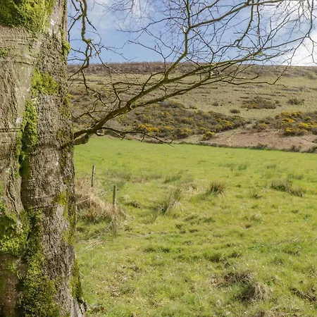 Hannon's Country Farmhouse Feriehus Ballymote